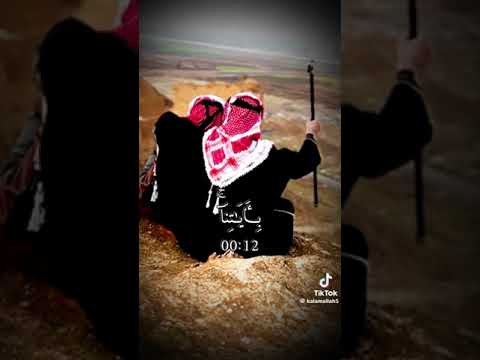 الشيخ ماهر المعيقلي قال سنشد عضدك باخيك