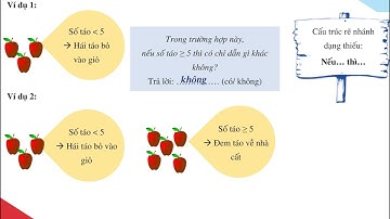 Chủ đề 6. Cấu trúc rẽ nhánh (tiết 1)