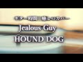 ジェラスガイ/ハウンドドッグ/Jealous Guy/HOUND DOG/ギター/BGM/癒し