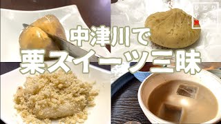 【岐阜グルメ】最強のスイーツ 栗きんとんを求め中津川へ【食べ歩きvlog】