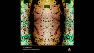 DJ Nelasta Nel Flow feat. Teo No Beat - Too Night