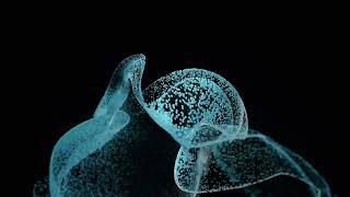 Famous Particles Simulation with custom filaments solver in Houdini Profile