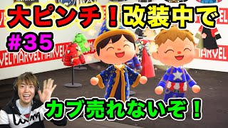 【あつまれどうぶつの森】大ピンチ！たぬき商店改装中でカブが売れないってどいうことだー！#35