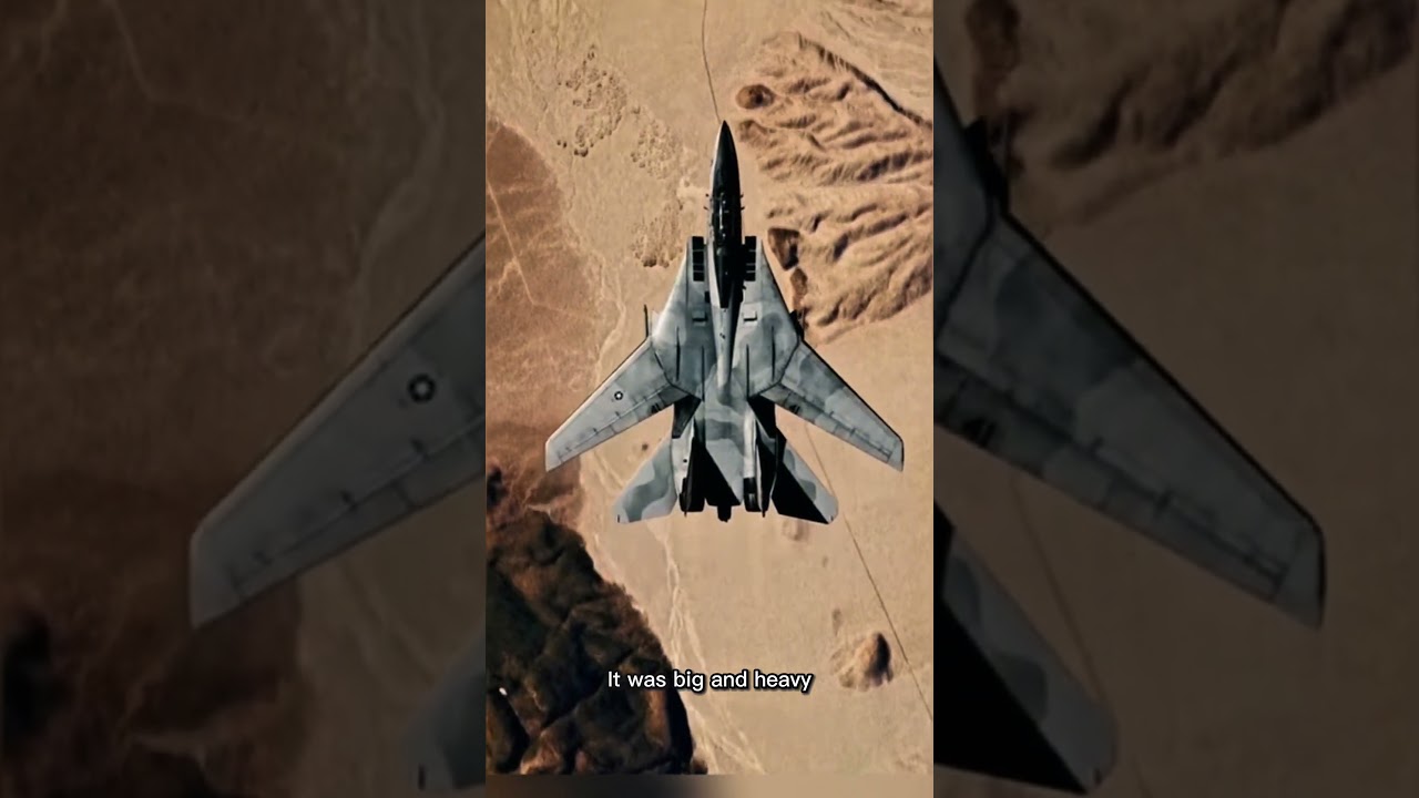 The Real Top Gun Jet: F-14 Tomcat 🇺🇸 