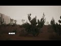 The Cactus: Let's Give Cactuses Some Love 🌵😱 (Interesting Cacti Facts!)
