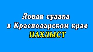 Ловля судака в Краснодарском крае - НАХЛЫСТ