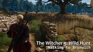 Celebrity The Witcher 3: Wild Hunt - Walking to Brunwich Profile