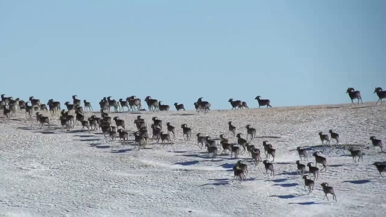Увс аймаг Бөхмөрөн сум