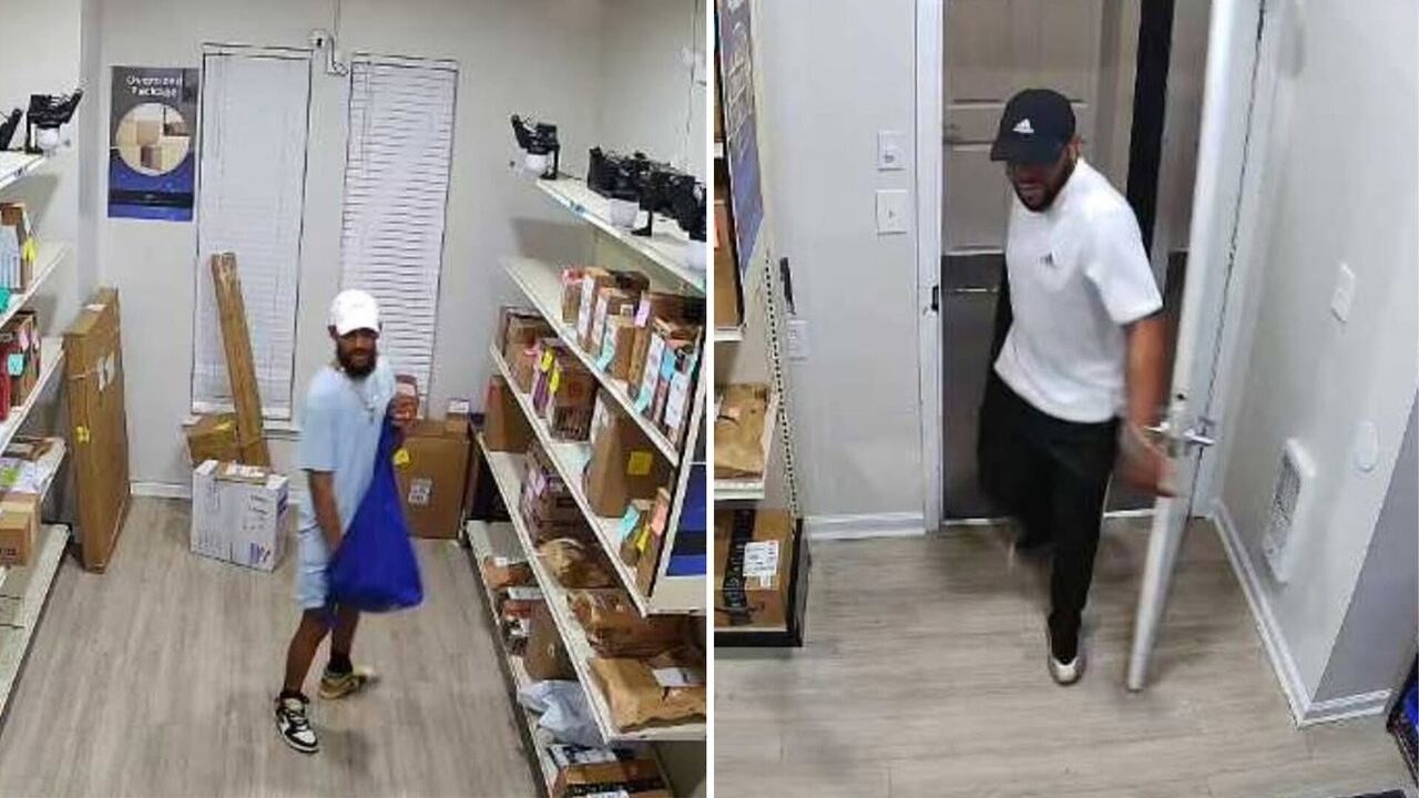 2 caught on camera stealing packages from Birkdale Village mailroom in ...
