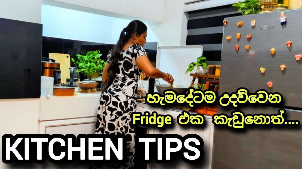 ශීතකරණය හදිසියේ කැඩුනොත්... අමාරුවේ නොවැටී ඉන්නේ මෙහෙමයි || 22 Tips ||  Preservative without Fridge.