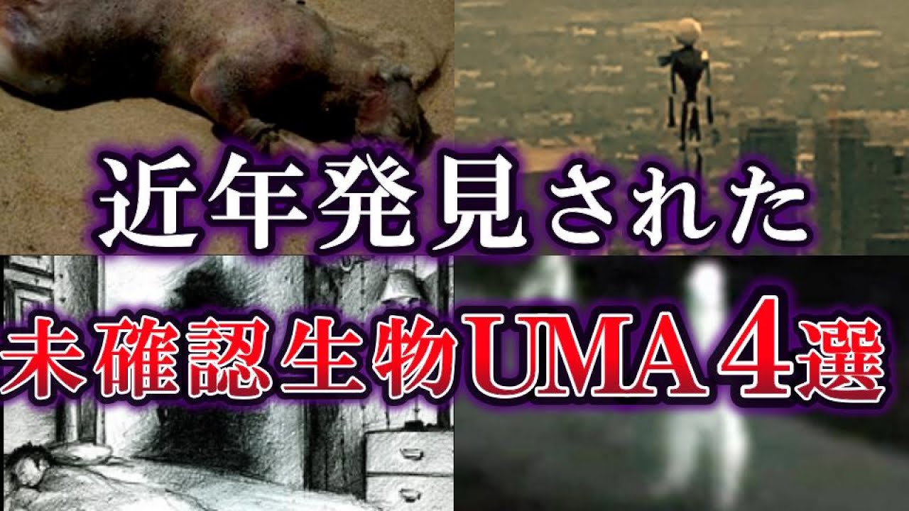 【ゆっくり解説】近年発見された 未確認生物４選【UMA】