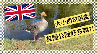 2046香港人 | 🇬🇧 英國公園好多鴨餵 🦆