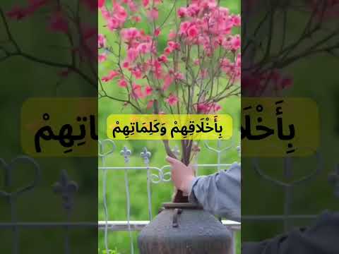حلوين من يومنا والله الشيخ سيد مكاوي