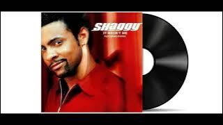 Shaggy - It Wasn't Me (Featuring Rikrok) [Audio HD]