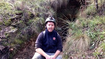 Enfield State Park Mine Exploration