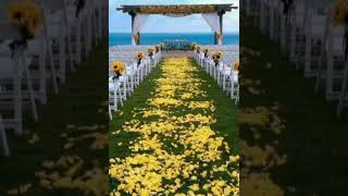 Beach Wedding Decorations  shorts