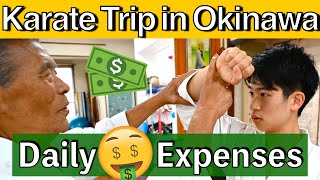 Karate Trip In OKINAWA｜How Much Does It Cost? screenshot 3