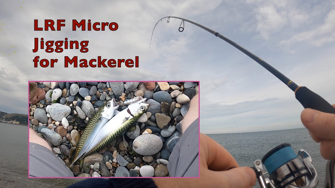 Mackerel Fishing on Light Gear using Metal Jigs YouTube
