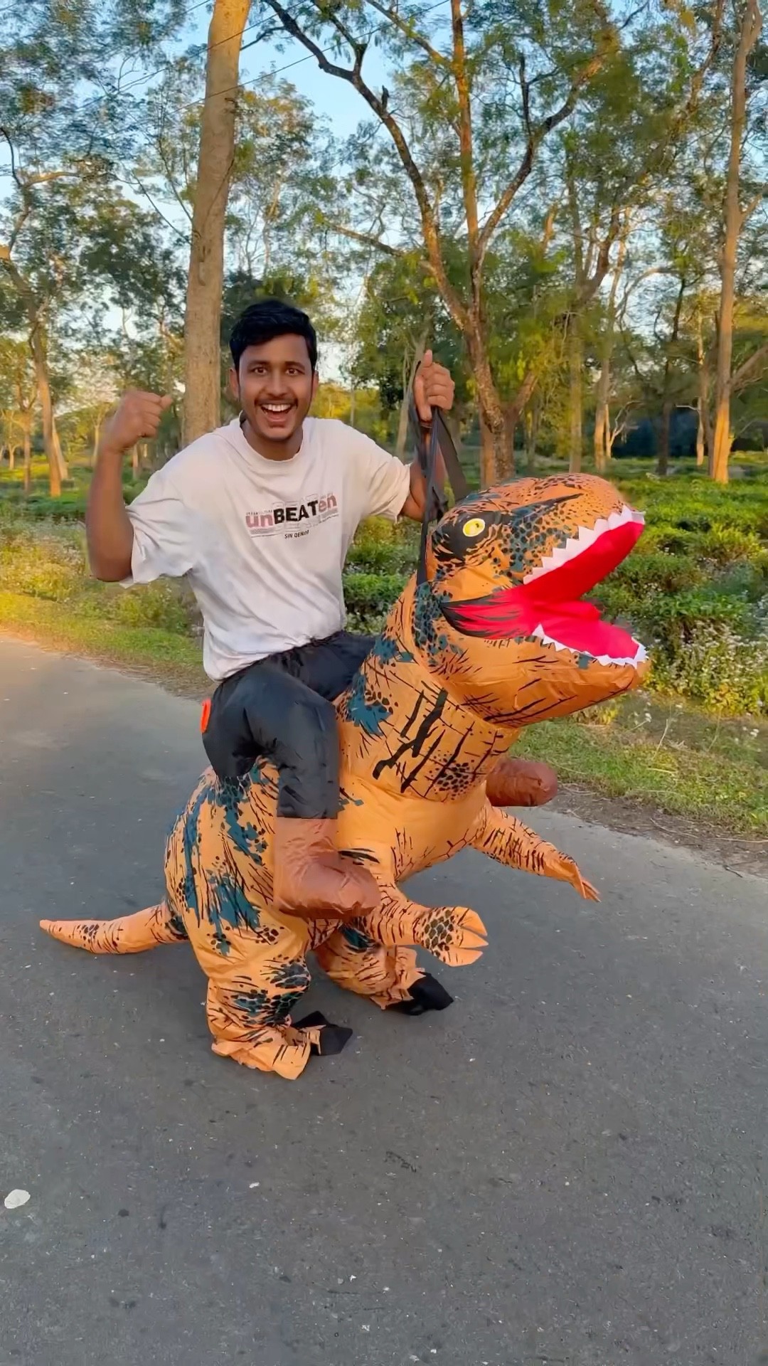 Party Dinosaur Inflatable under ₹5000