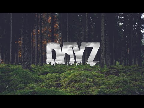 Видео: играем в dayz