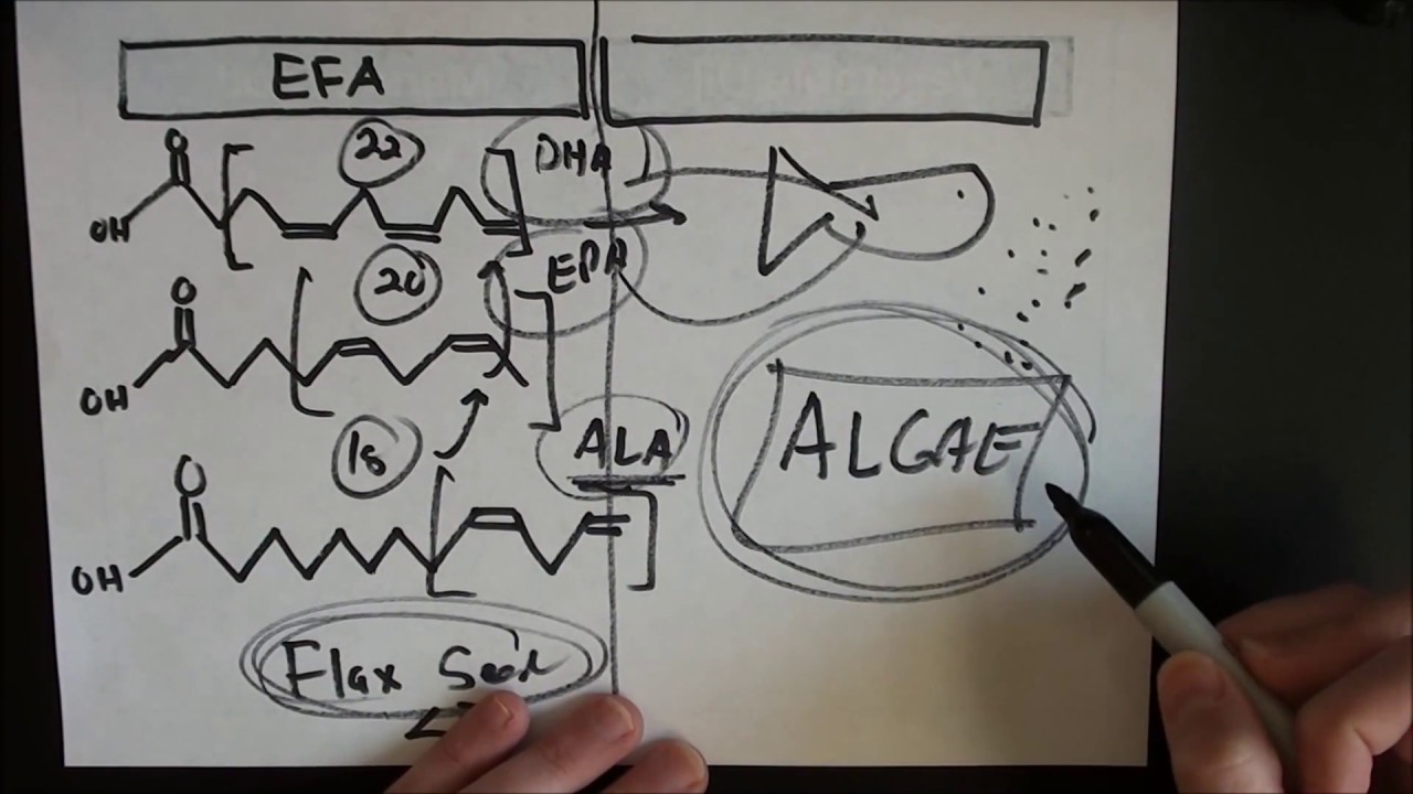 Omega 3: How Vegan and Vegetarian Runners can incorporate Essential Fatty Acids to Diet.