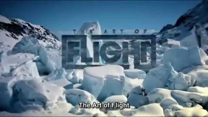 The Art of FLIGHT trailer