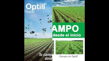 OPTILL-BASF