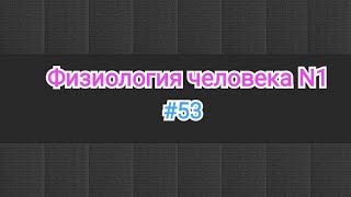 Физиология крови. 53 тема. Цветной показатель. Кривая анизоцитоз эритроцитов.