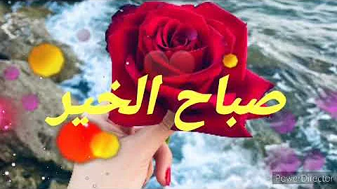 Ø­Ø¨ÙŠØ¨ÙŠ ØµØ¨Ø§Ø­ Ø§Ù„Ø®ÙŠØ± Ø®Ù„ÙÙŠØ§Øª ÙˆØ±Ø¯ ÙˆÙ‚Ù„Ø¨