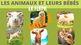 Les animaux de la ferme et leurs bébés QUIZZ