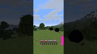 а ты знал?/@camman18 #minecraft