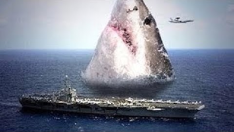 19 Cá Mập Trắng Khổng Lồ Hậu Duệ Của Megalodon Thời Tiền Sử