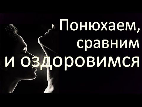 Понюхаем, сравним и оздоровимся
