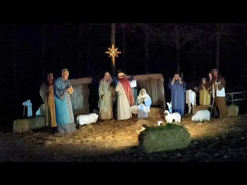 Christmas 2025