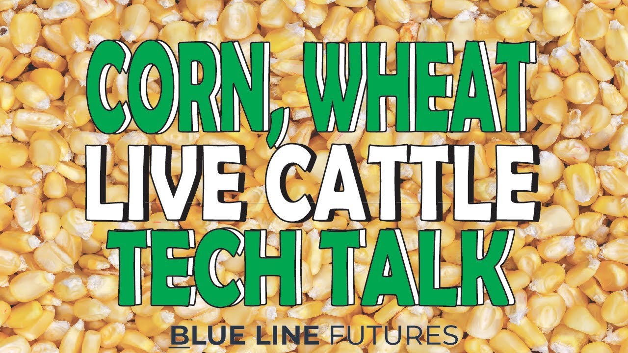 Corn, Wheat, Live Cattle & Soybeans Technical Analysis | Oliver Sloup | Tech Talk 7.05.22 |