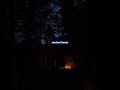A Quiet Night in the Forest Campfire #shorts