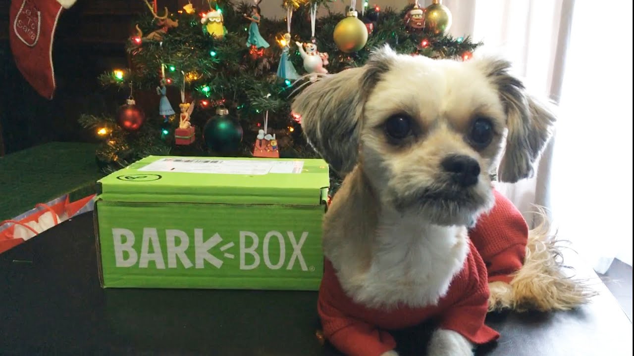 The Grinch BarkBox Unboxing | The Grinch Stole Some Of The Items