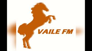 Download Lagu GTA Matanuska [Vaile FM] Old Sea Brigade- Love Brought Weight (2016) MP3