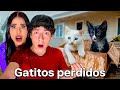 ENCONTRÉ GATITOS EN NUESTRA PUERTA ????