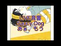 LIVE音響 Saucy Dog あぁ、もう。