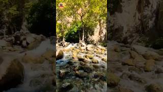 Görmem Böylesini Ğlenceli Şfet