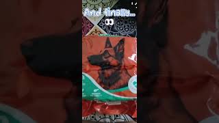 Unboxing my little one’s favourite from Lickicious 🐶🤍📦ASMR happy paws = the perfect delivery! 🐾✨ Unboxing my little one’s favourite from Lickicious 🐶🤍📦ASMR happy paws = the perfect delivery! 🐾✨