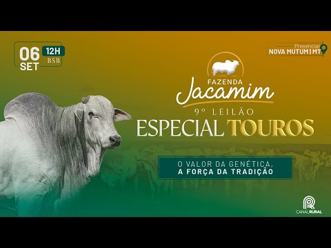 LOTE 29