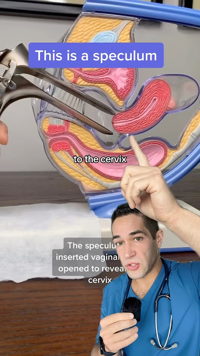THIS is how a speculum works