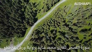 محمد سايد - سورة القصص |028| MOHAMED SAYED - SURAT AL QASAS