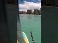 Beautiful Waikiki SUP Surfing 🏝🌊🤙🏾 #shorts #hawaii #surf