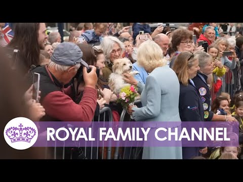 Queen Meets ADORABLE