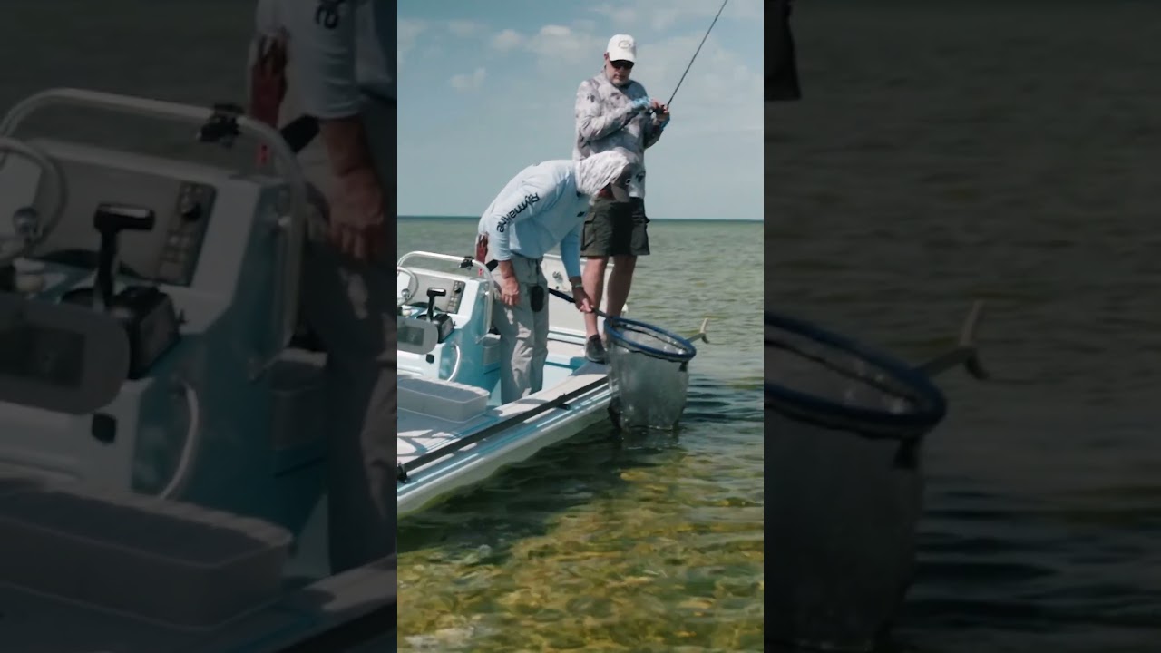 Sight Fishing Trout! 