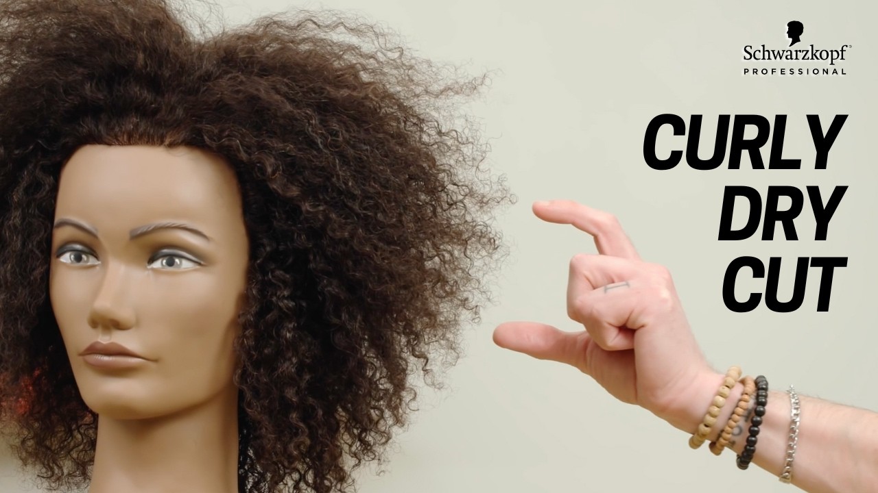 How to Point Cut Textured, Curly Hair