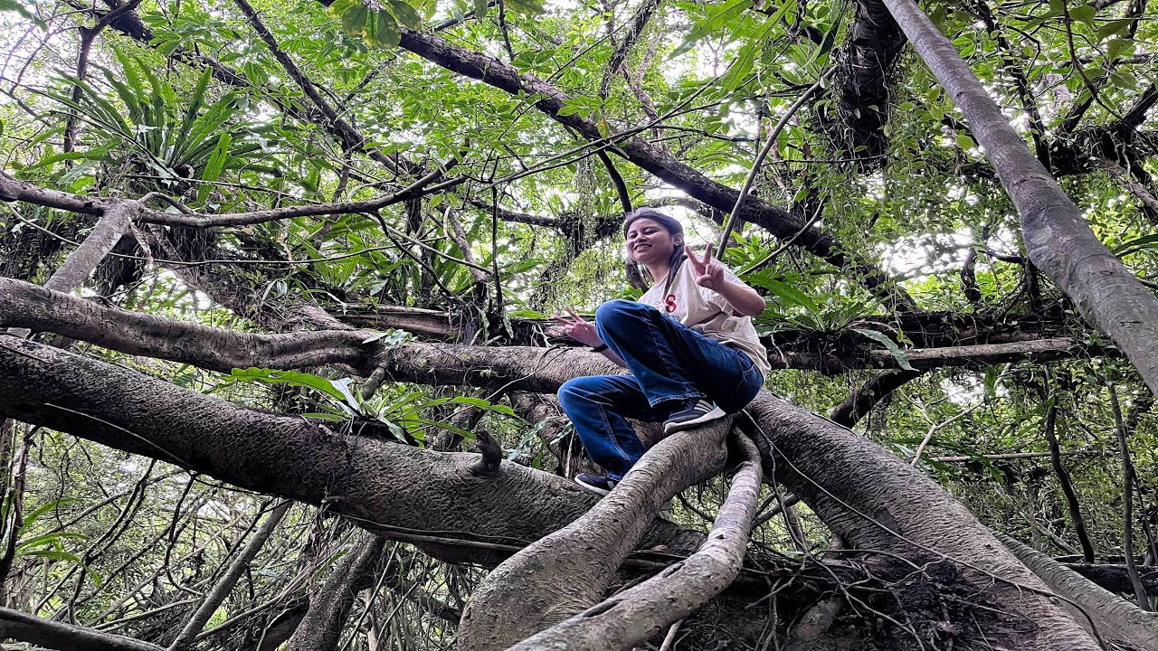 Единственный лес Индии, где водятся дикие лошади — Трейлер 